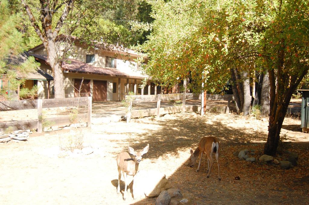 9N Fox Hollow Wawona Εξωτερικό φωτογραφία